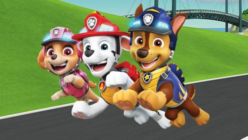 Paw Patrol S07 B03